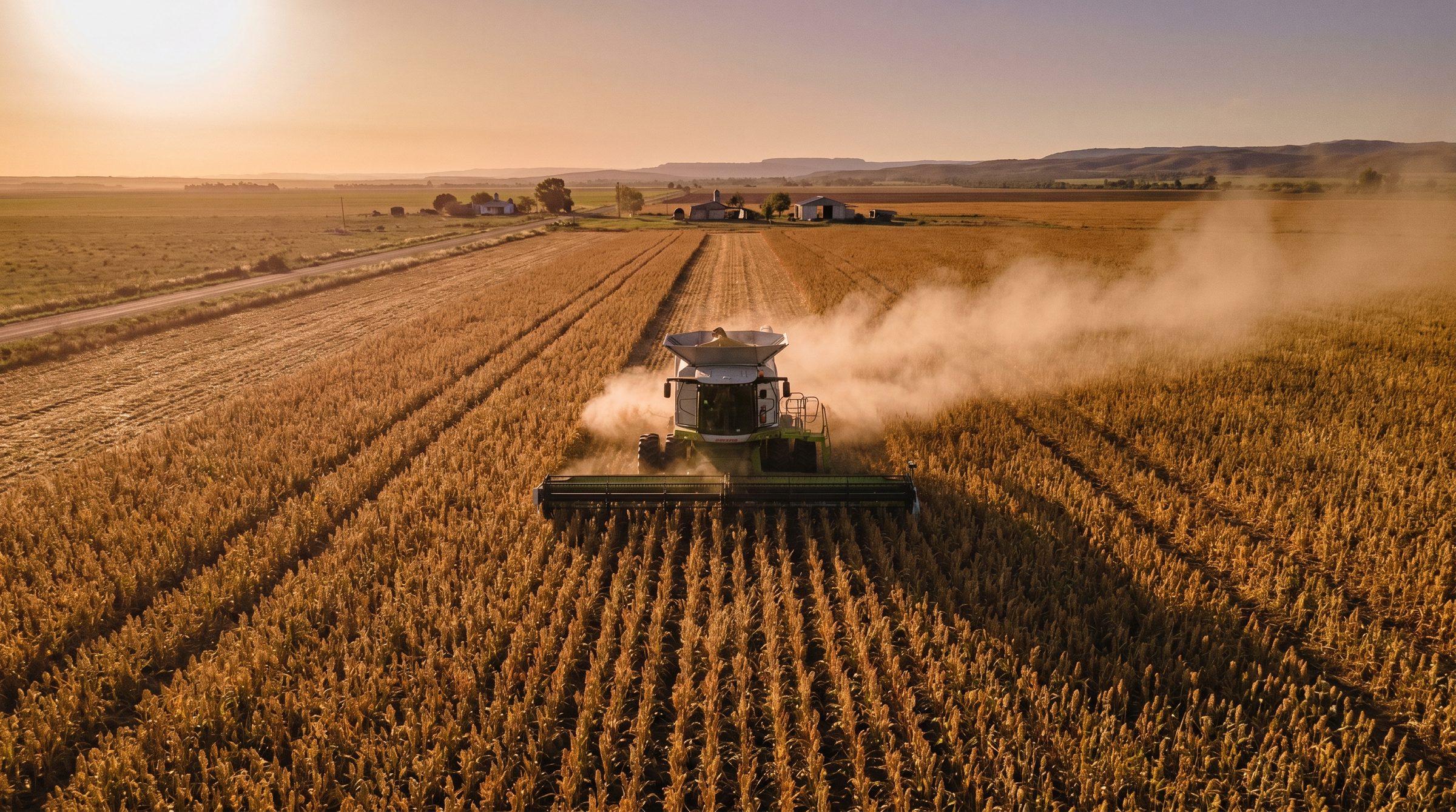Cosecha de caña con maquinaria agrícola