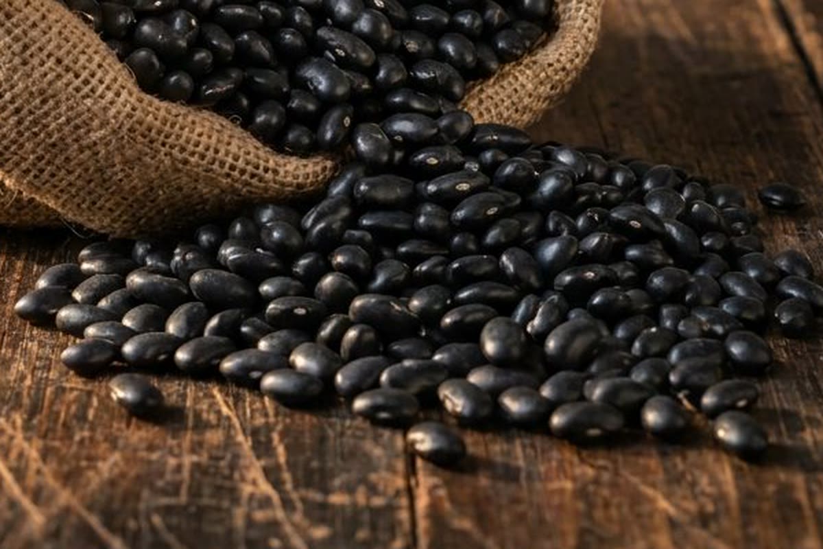 Poroto negro