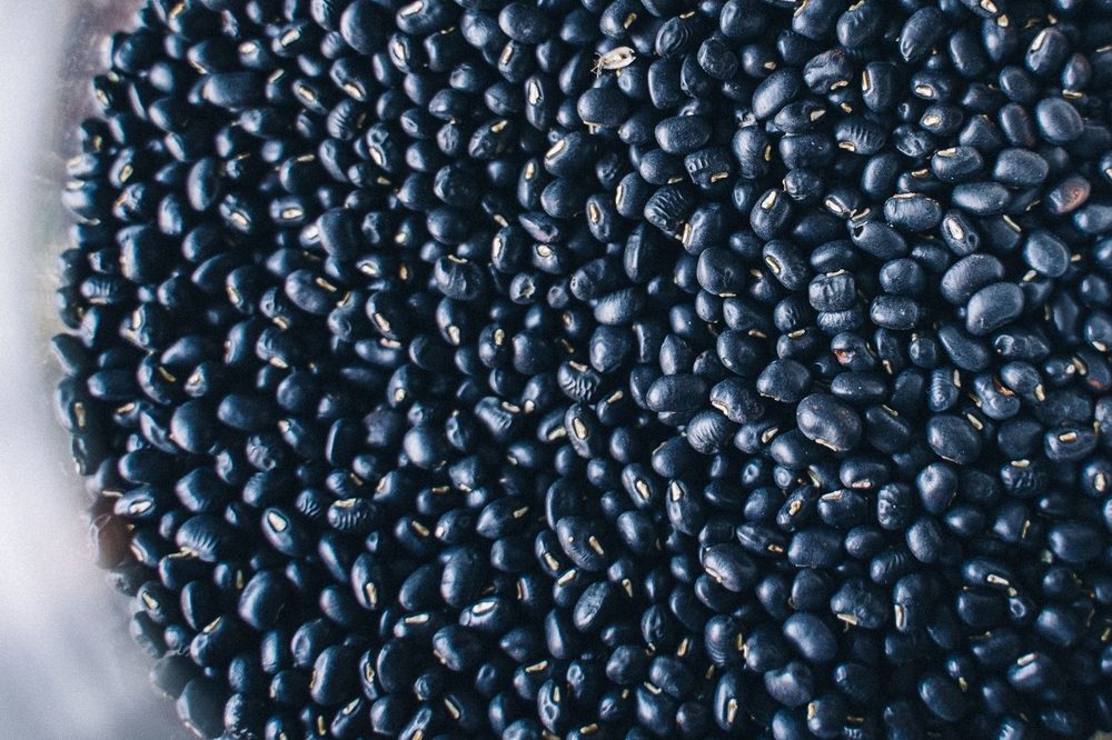 Poroto negro
