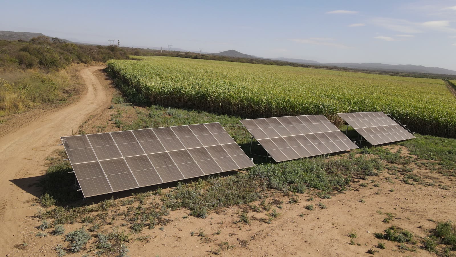 Paneles solares junto a un lote de caña de azúcar en Cañada Húmeda